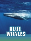 Image for Blue whales