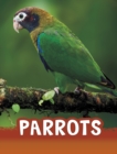 Image for Parrots