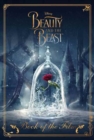 Image for Disney Beauty and the Beast Book of the Film