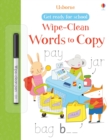 Image for Wipe-clean Words to Copy