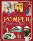 Image for Pompeii Picture Book