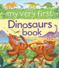 Image for My very first dinosaurs book