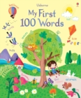 Image for Usborne my first 100 words