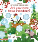 Image for Are You There Little Reindeer?