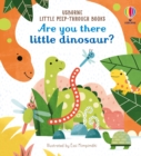 Image for Are You There Little Dinosaur?