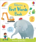 Image for Usborne first words book