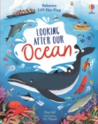 Image for Looking after our ocean