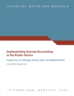 Image for Guide to Implementing Accrual Accounting in the Public Sector