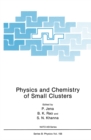 Image for Physics and Chemistry of Small Clusters