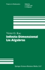 Image for Infinite Dimensional Lie Algebras: An Introduction : v. 44