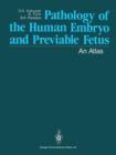 Image for Pathology of the Human Embryo and Previable Fetus