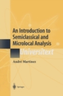 Image for An introduction to semiclassical and microlocal analysis