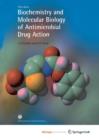 Image for Biochemistry and Molecular Biology of Antimicrobial Drug Action