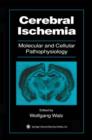 Image for Cerebral Ischemia : Molecular and Cellular Pathophysiology