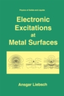 Image for Electronic Excitations at Metal Surfaces