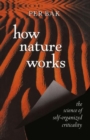 Image for How Nature Works: the science of self-organized criticality