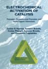 Image for Electrochemical Activation of Catalysis : Promotion, Electrochemical Promotion, and Metal-Support Interactions