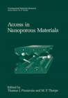 Image for Access in Nanoporous Materials
