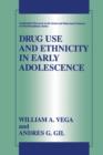 Image for Drug Use and Ethnicity in Early Adolescence
