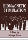 Image for Biomagnetic Stimulation