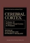 Image for Cerebral Cortex : Volume 10 Primary Visual Cortex in Primates