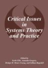 Image for Critical Issues in Systems Theory and Practice