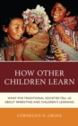 Image for How Other Children Learn: What Five Traditional Societies Tell Us About Parenting and Children&#39;s Learning