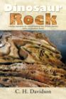 Image for Dinosaur Rock