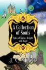 Image for A Collection of Souls : Tales of Terror, Delight, and Magic