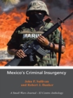 Image for Mexico&#39;s Criminal Insurgency: A Small Wars Journal-El Centro Anthology
