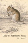 Image for Joey the Motor Home Mouse