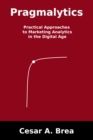 Image for Pragmalytics: practical approaches to marketing analytics in the digital age