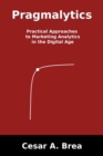 Image for Pragmalytics  : practical approaches to marketing analytics in the digital age