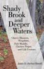 Image for Shady Brook and Deeper Waters : Cherry Shooters, Slingshots, Fish Muddle, Chicken Potpie, and Life Lessons