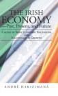 Image for The Irish Economy-Past, Present, and Future : Causes of Irish Economic Recessions and Solutions for Growth