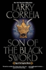 Image for SON OF THE BLACK SWORD