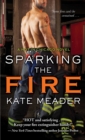 Image for Sparking the Fire