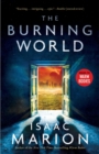 Image for The burning world: a novel