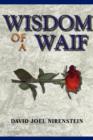 Image for Wisdom of a Waif