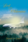 Image for Lost in the Wilderness