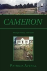 Image for Cameron: family, technology, and religion in a rust belt town as seen by Averills, Nasons, McCormicks and others who passed through