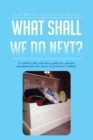 Image for What Shall We Do Next?: A Creative Play and Story Guide for Parents, Grandparents and Carers of Preschool Children