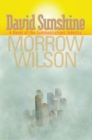 Image for David Sunshine: A Novel of the Communications Industry