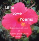 Image for Little Love Poems
