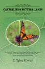 Image for Caterflies &amp; Butterpillars