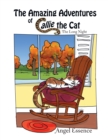 Image for Amazing Adventures of Callie the Cat: The Long Night