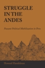 Image for Struggle in the Andes : Peasant Political Mobilization in Peru