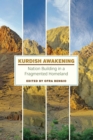 Image for The Kurds  : nation building in a fragmented homeland