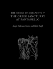 Image for The chora of Metaponto.: (The Greek sanctuary at Pantanello) : Volume 7,