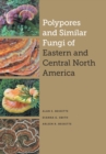 Image for Polypores and similar fungi of eastern and central North America  : a resource guide